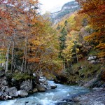 Río Pirineo Aragonés